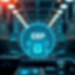 Visualization of ERP system architecture