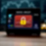 Secure digital wallet interface