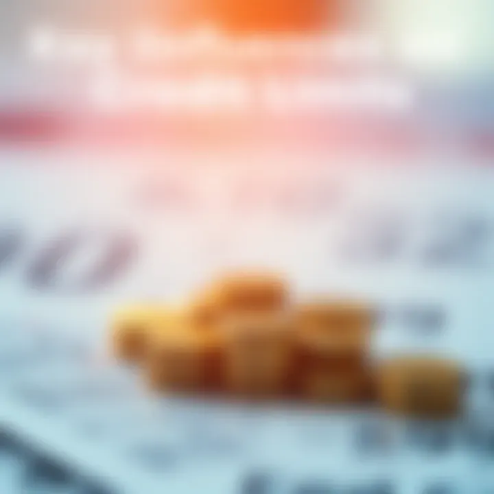 Key Influences on Credit Limits Factors affecting credit limits