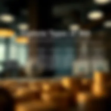 Exploring Different Types of IRAs Detailed infographic on IRA types and their benefits