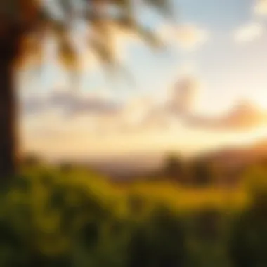 Security and Peace of Mind A serene setting symbolizing security and peace of mind offered by lifestyle insurance