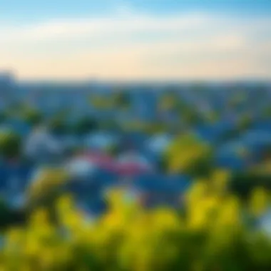 A scenic view of diverse properties in a thriving neighborhood