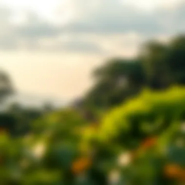 Long-Term Financial Goals A serene landscape symbolizing long-term financial planning