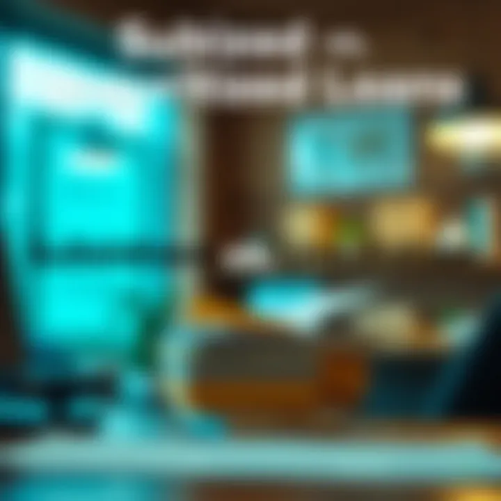 Visual comparison of subsidized vs unsubsidized loans