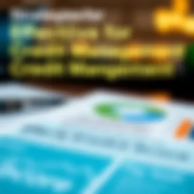 Infographic outlining strategies for effective credit management