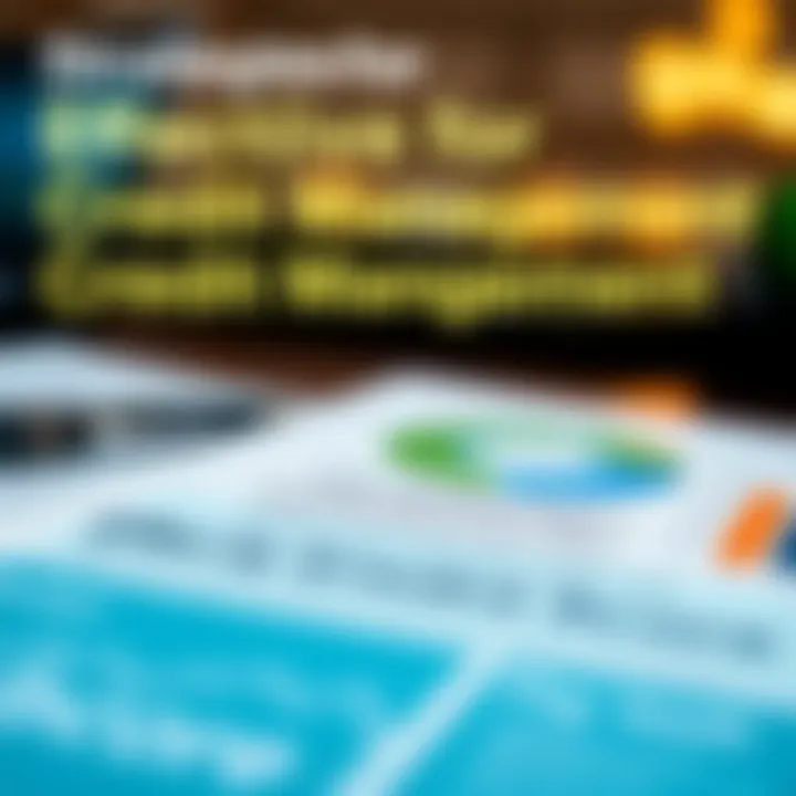 Infographic outlining strategies for effective credit management