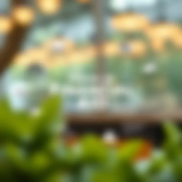 Visual infographic of various forms of financial aid