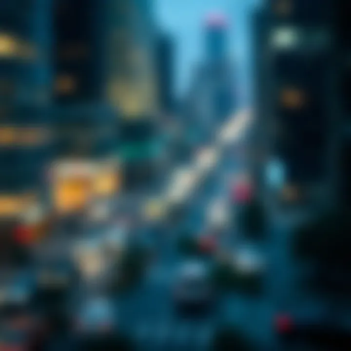 Detailed overview of municipal bond hedge fund dynamics