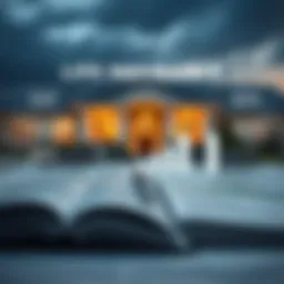 A conceptual representation of life insurance planning