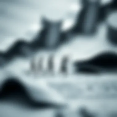 Evolution of Investment Strategies A visual depiction of the evolution of investment strategies influenced by vanguard firms.